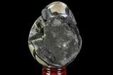 Septarian Dragon Egg Geode - Black Crystals #88513-1
